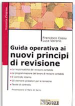 Guida operativa ai nuovi principi di revisione, ed. Il Sole 24 Ore, 2003